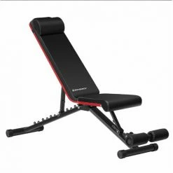 SONGMICS Banc De Musculation Réglable Et Pliable, Pour L'entraînement à Domicile, Dossier Et Siège Réglable, Sans Montage, Avec 1 Coussin, Exercices D'haltères, Noir Et Rouge SWB803R01 - Noir Et Rouge