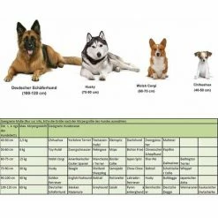 SONGMICS Panier Pour Chien Lit S 60 X 50 X 22 Cm Dog Bed Coussin Matelas Animaux PGW22G -SONGMICS Soldes 29839305 5