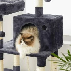 FEANDREA Arbre à Chat Pompons, Tour De Jeux 150 Cm, Gris Anthracite Par SONGMICS PCT85G - Gris Anthracite -SONGMICS Soldes 55482830 3